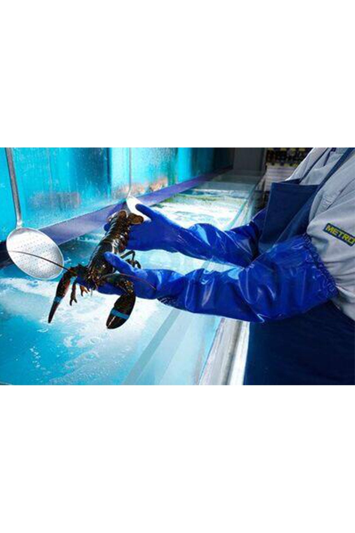 Alphatec 23-201 Gıda Uyumlu Kimyasal Dirençli İş Eldiveni Alphatec 23-201 Gıda Uyumlu Kimyasal Dirençli İş Eldiveni